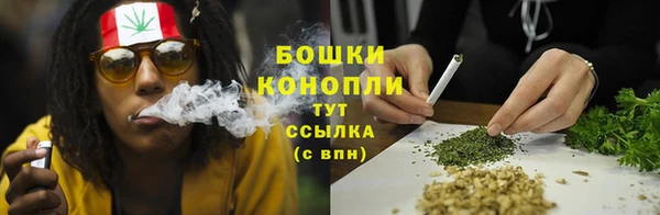 гидропоника Гусев