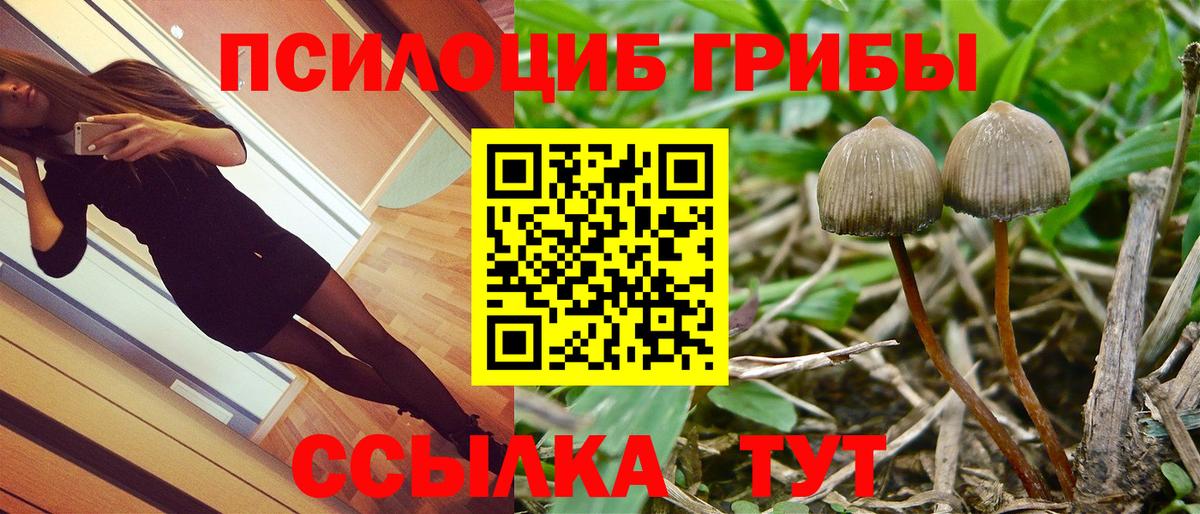 Заволжье  Псилоцибиновые грибы GOLDEN TEACHER  Вход с VPN  Псилоцибиновые грибы мухоморы 
