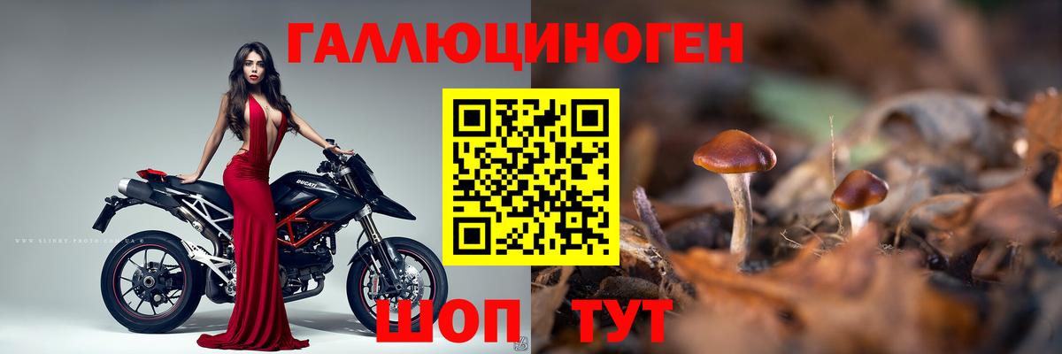 Галлюциногенные грибы ЛСД Заволжье